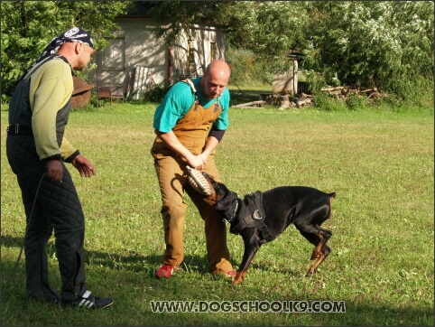 Training camp - Lukova 2007